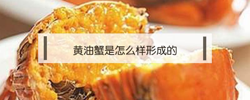 黄油蟹是怎么样形成的 黄油蟹是怎么样形成的膏