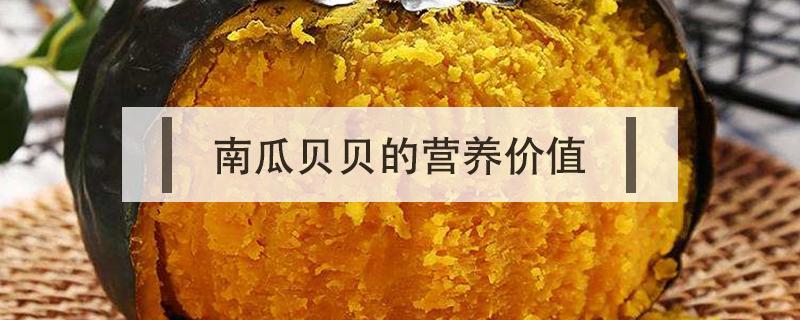 南瓜贝贝的营养价值（南瓜贝贝的营养价值百度百科）