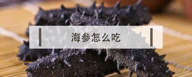 海参怎么吃（海参怎么吃最有营养海参家常做法）