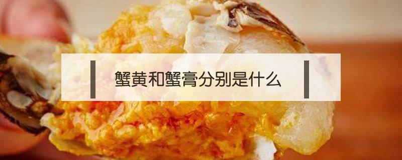 蟹黄和蟹膏分别是什么（蟹黄和蟹膏的区别图解）