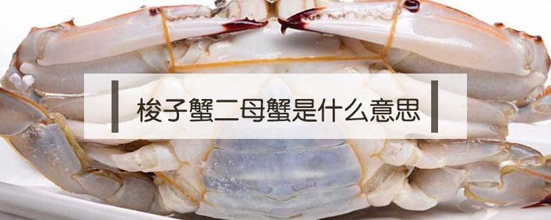 梭子蟹二母蟹是什么意思 什么叫二母梭子蟹