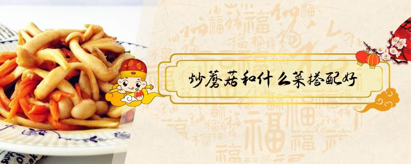 炒蘑菇和什么菜搭配好（蘑菇和什么配菜炒好吃）