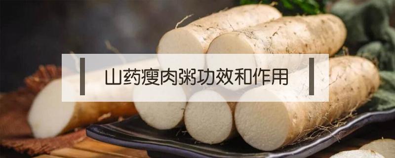 山药瘦肉粥功效和作用（淮山药瘦肉粥功效）
