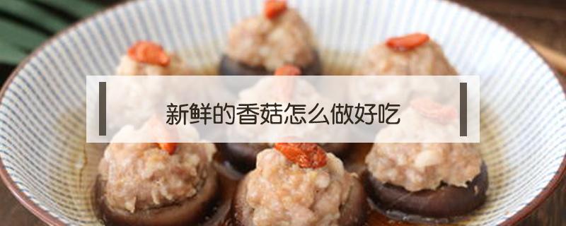 新鲜的香菇怎么做好吃 新鲜的香菇怎么做好吃 视频