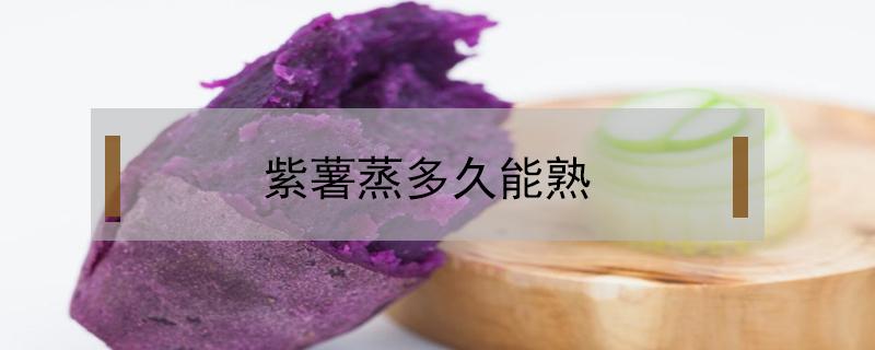 紫薯蒸多久能熟（紫薯蒸多久能熟透）