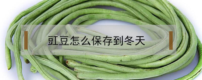 豇豆怎么保存到冬天 豇豆怎么保存冬天吃是最好吃