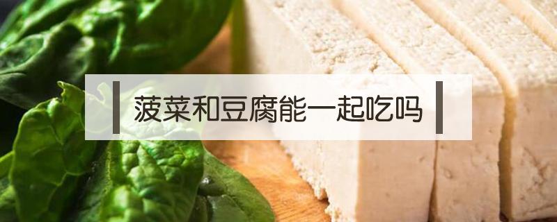 菠菜和豆腐能一起吃吗 菠菜和豆腐能一起吃吗会中毒吗