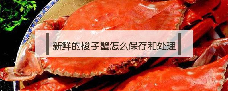 新鲜的梭子蟹怎么保存和处理 新鲜梭子蟹如何保存方法