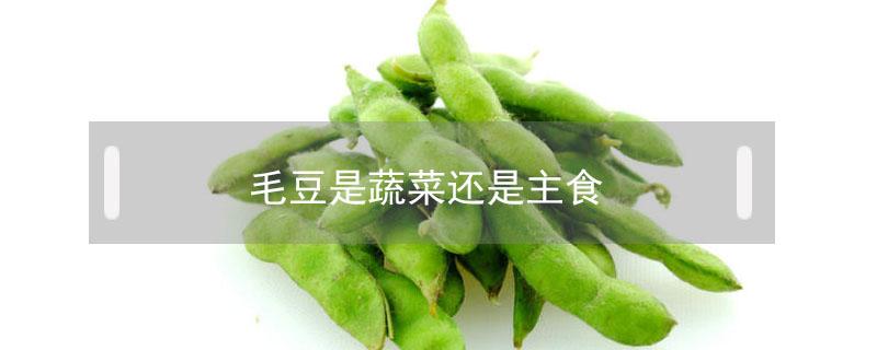 毛豆是蔬菜还是主食（毛豆是蔬菜还是豆制品）