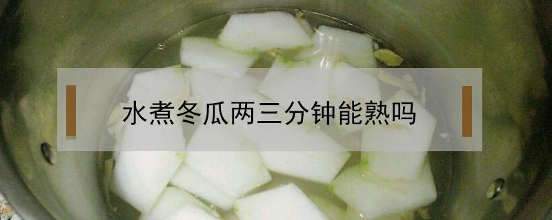 水煮冬瓜两三分钟能熟吗 煮冬瓜10分钟能熟吗