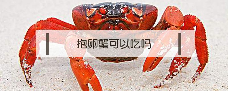 抱卵蟹可以吃吗 抱卵蟹的卵能吃吗
