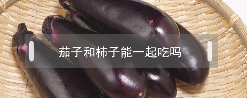 茄子和柿子能一起吃吗 茄子能和柿子一起吃吗?