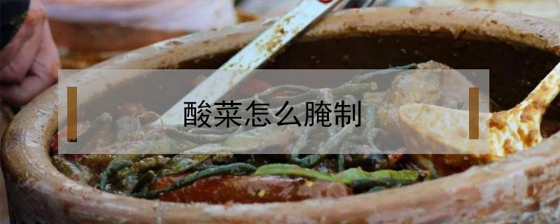 酸菜怎么腌制（酸菜怎么腌制才会酸而且不烂）