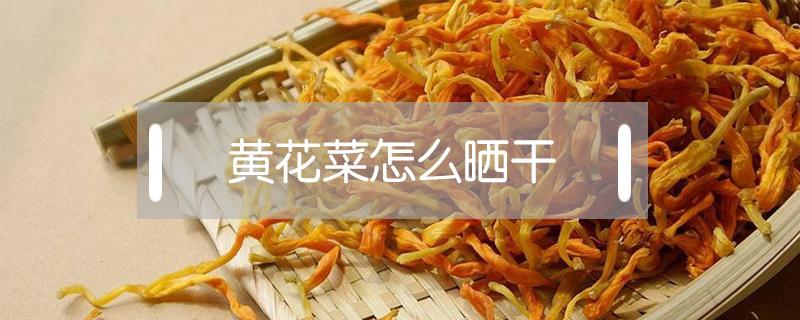 黄花菜怎么晒干 黄花菜怎么晒干好