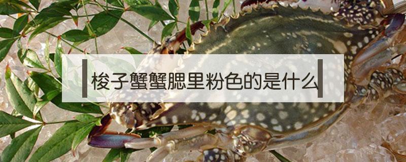 梭子蟹蟹腮里粉色的是什么（梭子蟹腮里面红色的是什么）