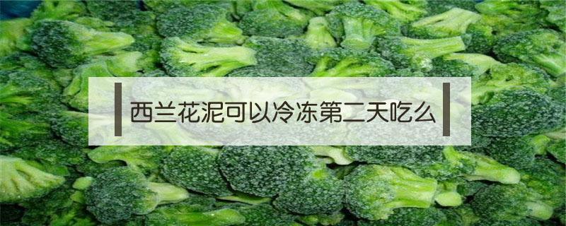 西兰花泥可以冷冻第二天吃么（西兰花泥可以冷冻后再吃吗）