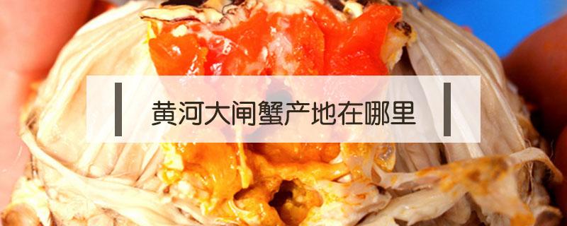 黄河大闸蟹产地在哪里（河南大闸蟹产地在哪里）