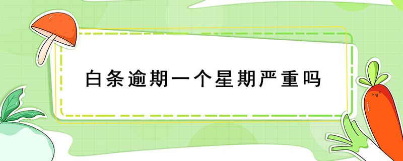 白条逾期一个星期严重吗 白条逾期一天严不严重