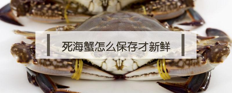 死海蟹怎么保存才新鲜 活的海蟹怎么保存最新鲜