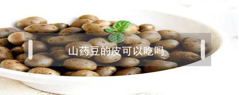 山药豆的皮可以吃吗（山药豆的皮可以吃吗?吃山药豆应注意什么?）