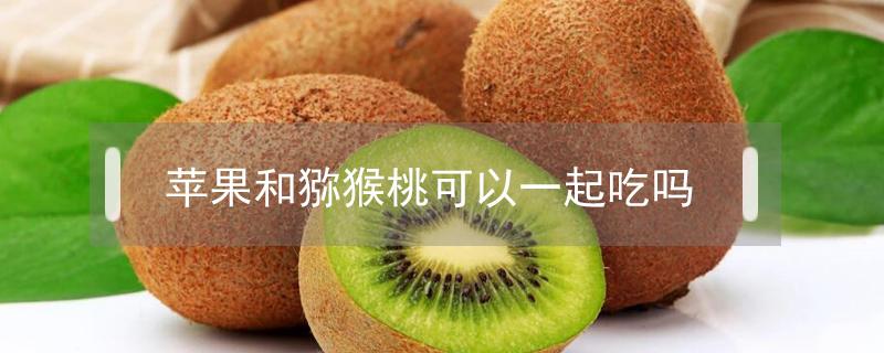 苹果和猕猴桃可以一起吃吗(猕猴桃与苹果可以一起吃吗)