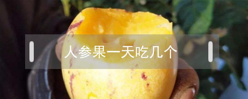 人参果一天吃几个（人参果一天吃几个菜不会胖）