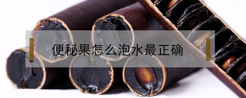 便秘果泡水喝要剥皮吗（便秘果泡水喝去皮吗）