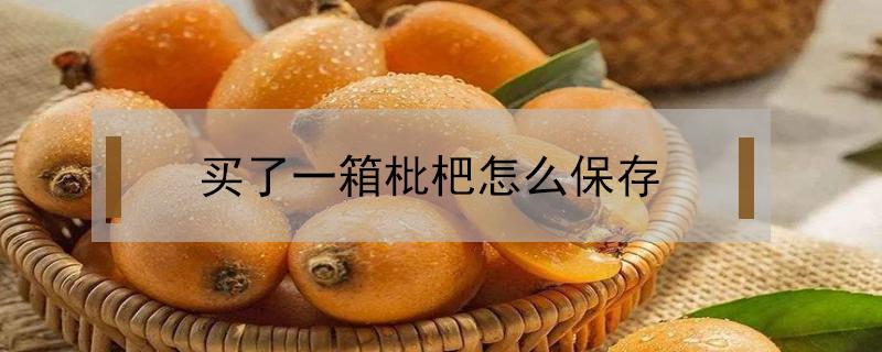 买了一箱枇杷怎么保存（枇杷买回家怎么保存）