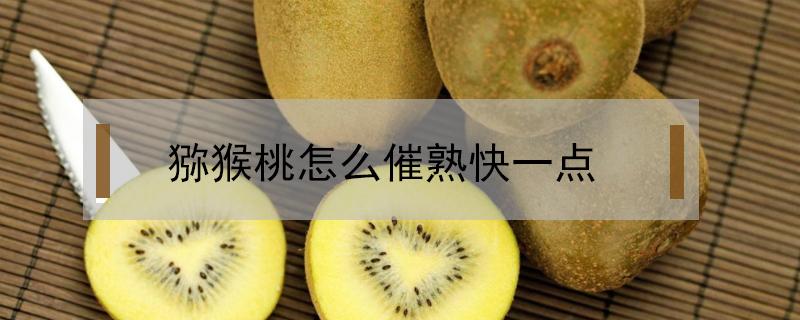 猕猴桃怎么催熟快一点（猕猴桃怎么催熟的快）