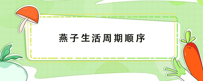 燕子生活周期顺序 说一说燕子的生活周期顺序是怎样的