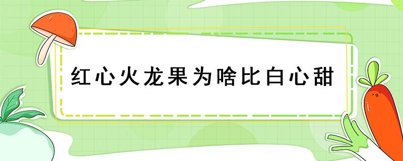 红心火龙果为啥比白心甜 红心火龙果为啥比白心甜?