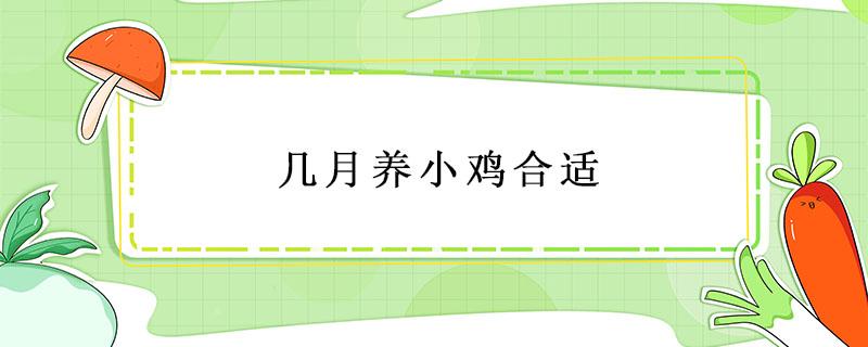 几月养小鸡合适 养小鸡什么季节养最好