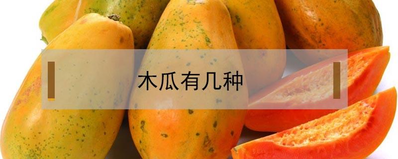 木瓜有几种 木瓜有几种品种图片