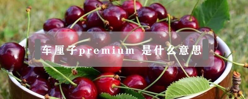 车厘子premium 车厘子premium是什么牌子