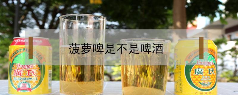 菠萝啤是不是啤酒（菠萝啤是不是啤酒能喝醉吗）