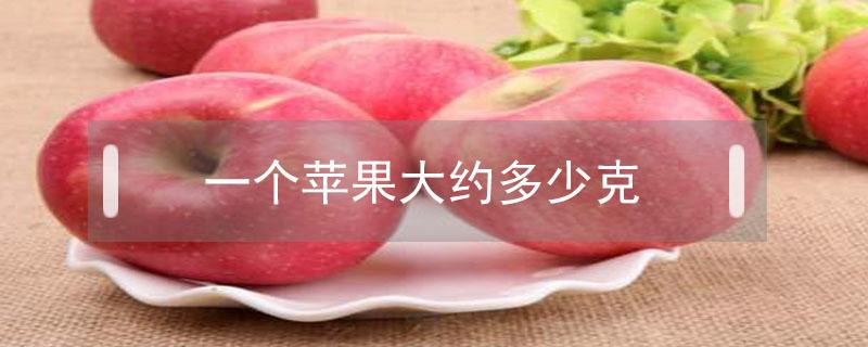 一个苹果大约多少克（一个苹果大约多少克或千克）