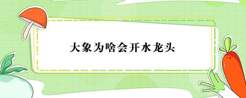 大象为啥会开水龙头 大象用鼻子开水龙头