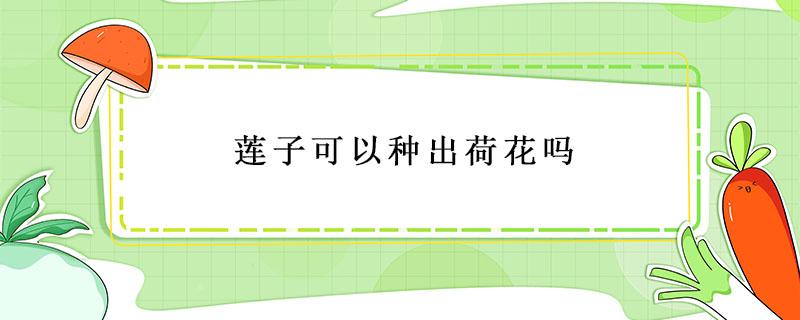莲子可以种出荷花吗 新鲜的莲子可以种出荷花吗?