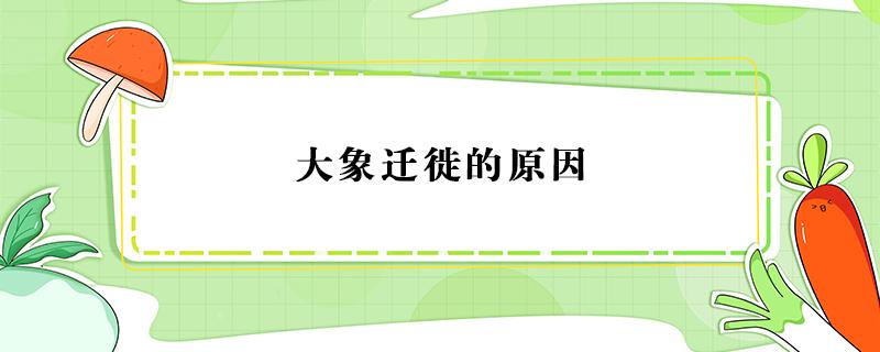 大象迁徙的原因 大象迁徙的原因是什么