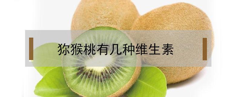 狝猴桃有几种维生素（猕猴桃的营养成分）