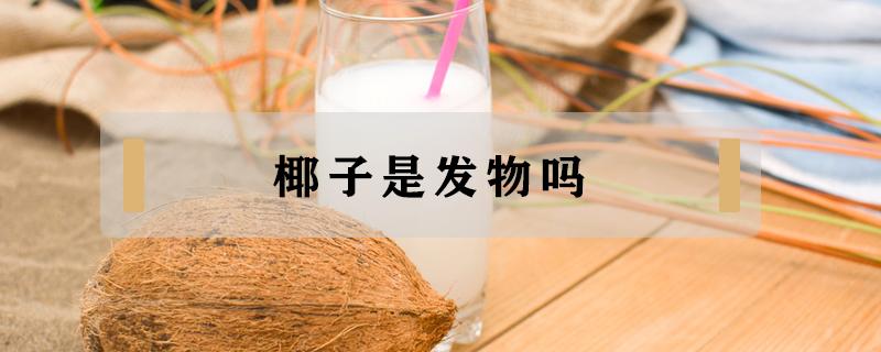 椰子是发物吗（椰子是不是发物?）