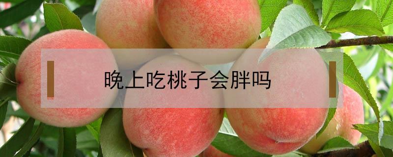 晚上吃桃子会胖吗 减肥期间晚上吃桃子会胖吗