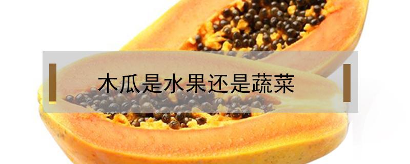 木瓜是水果还是蔬菜 木瓜是水果还是蔬菜 能直接吃吗