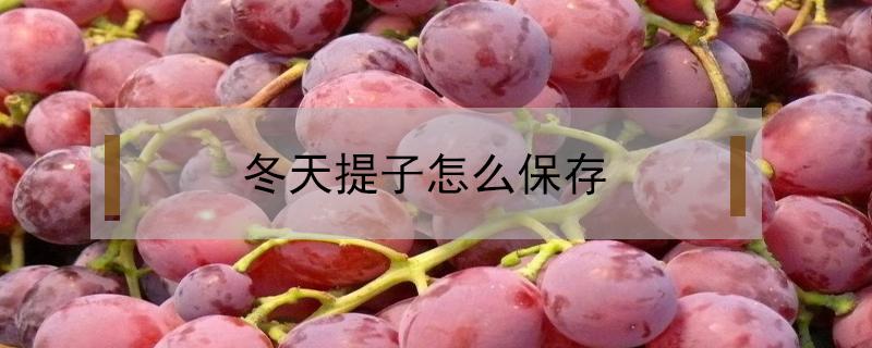 冬天提子怎么保存（提子需要冷藏保存吗）