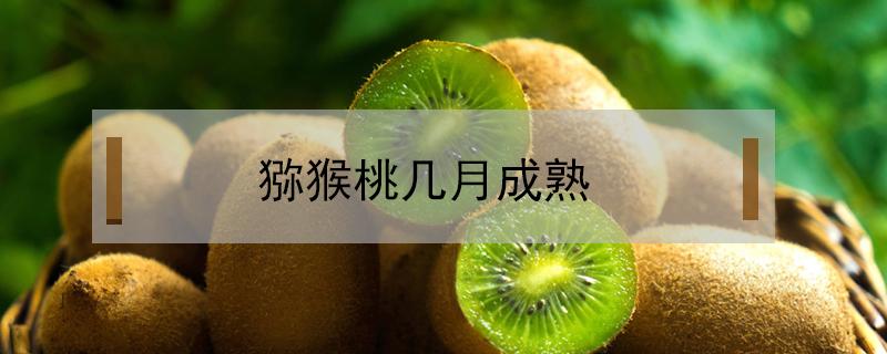 猕猴桃几月成熟 猕猴桃几月成熟上市