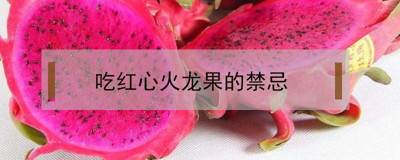 吃红心火龙果的禁忌（吃红心火龙果的禁忌 新闻）