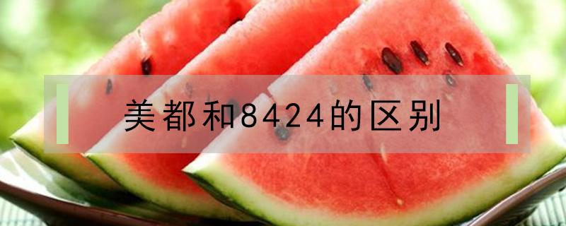 美都和8424的区别（美都和8424西瓜有什么区别）