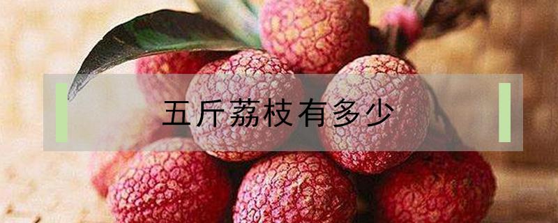 五斤荔枝有多少 五斤荔枝有多少啊