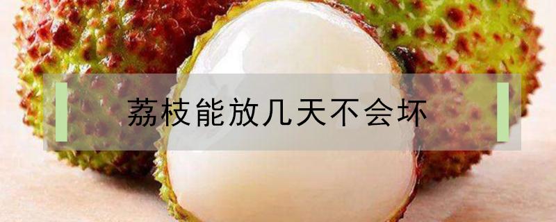 荔枝能放几天不会坏(荔枝放几天会坏吗)