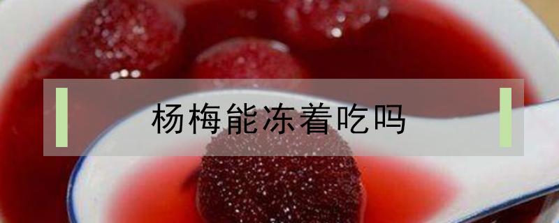 杨梅能冻着吃吗 杨梅可以冻着吃吗